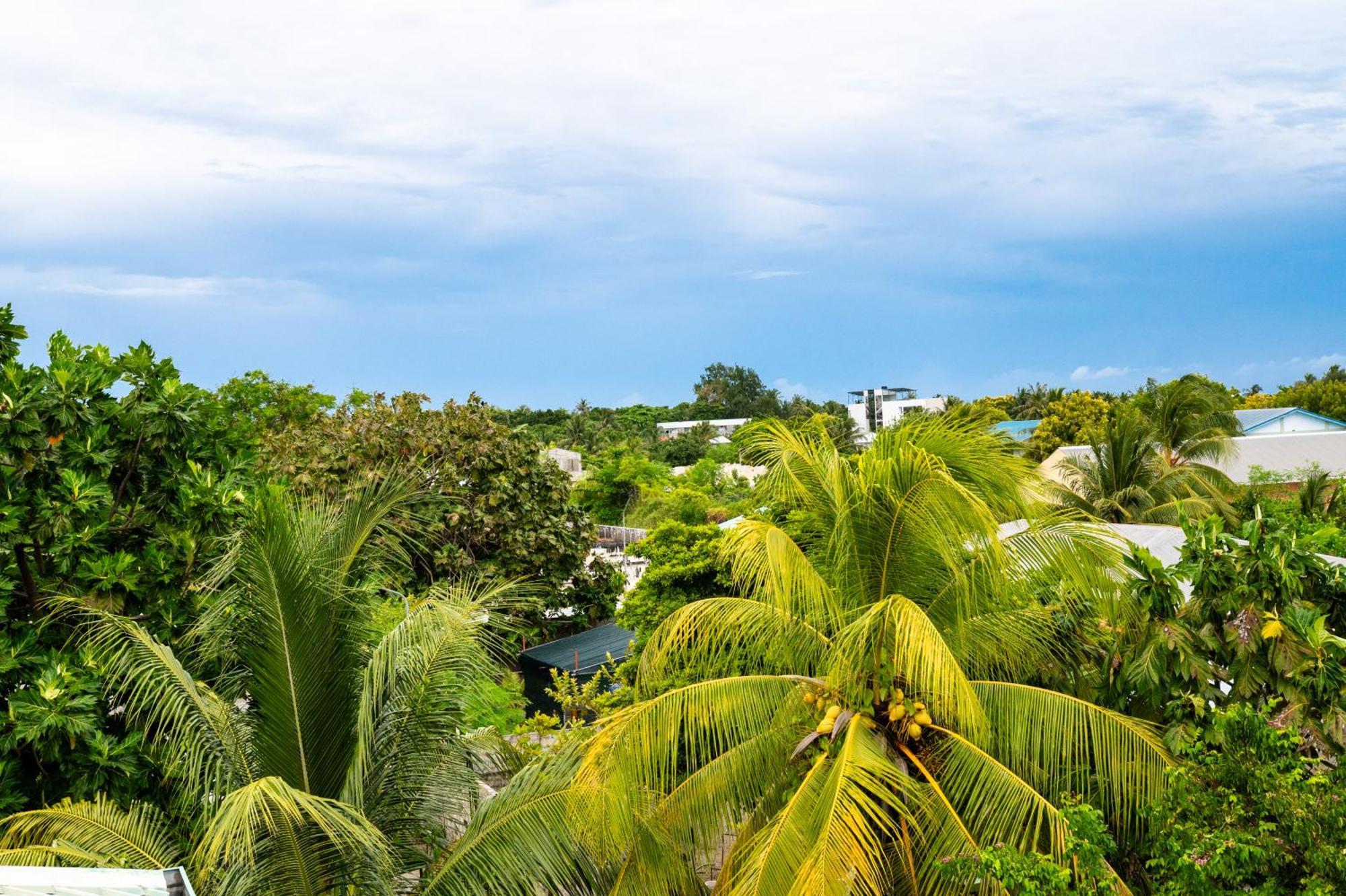 Biosphere Inn Dharavandhoo Exterior photo